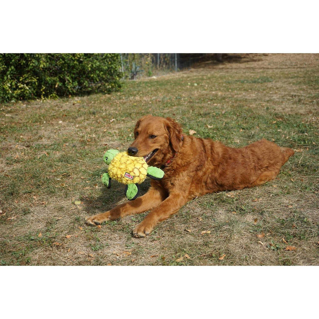 Ballistic Turtle Dog Toy Q60939
