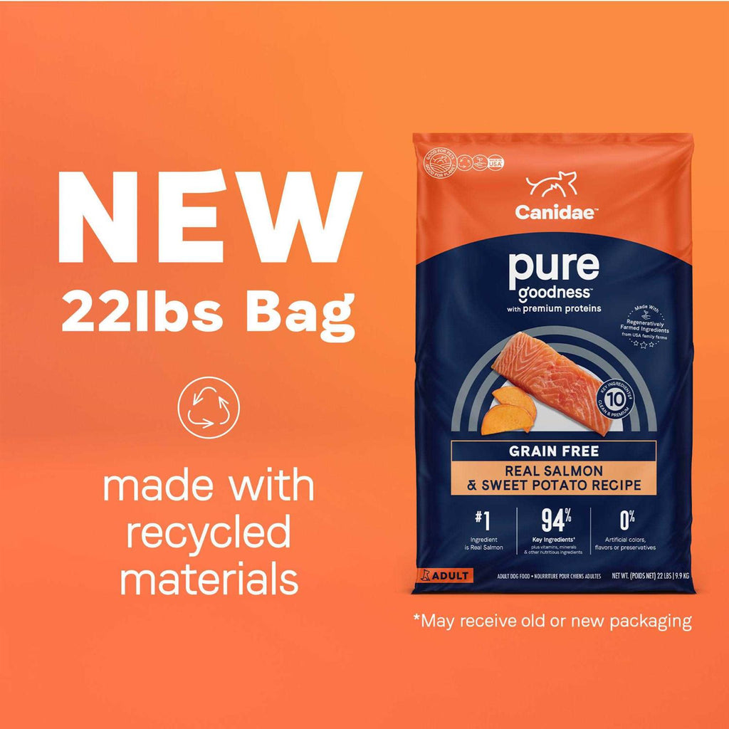 Grain Free Salmon & Sweet Potato Dry Dog Food Y320