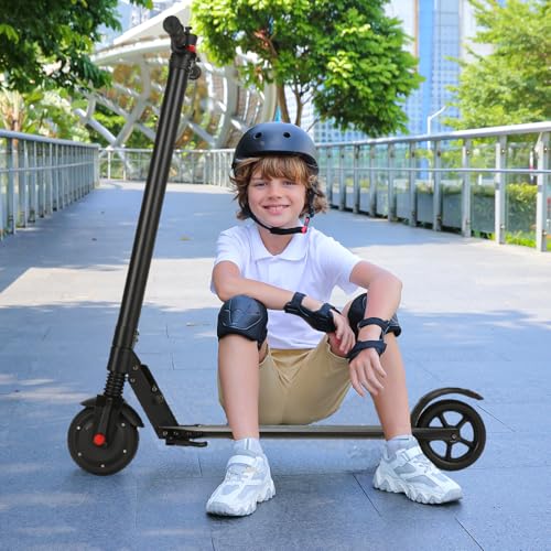 250W Motor 15 Mph Foldable Electric Scooter R94287