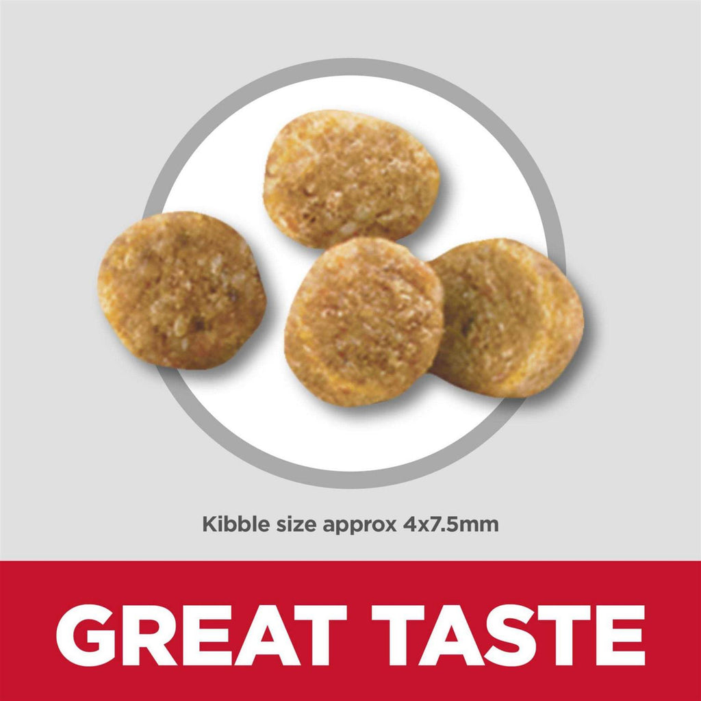 Chicken Meal & Barley Dry Dog Food A29996