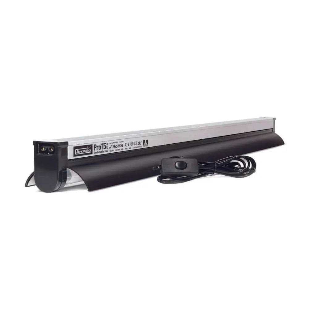 Reptile Kit I99301