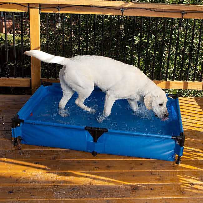Pet Pool F576108