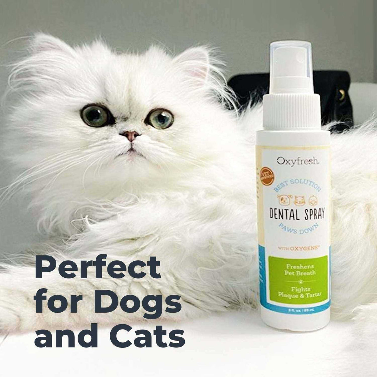 Pet Dental Breath Spray H9426