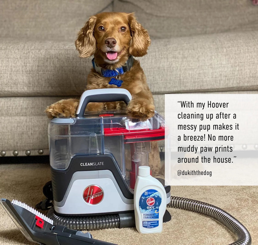 Portable Carpet and Upholstery Spot Cleaner G610812