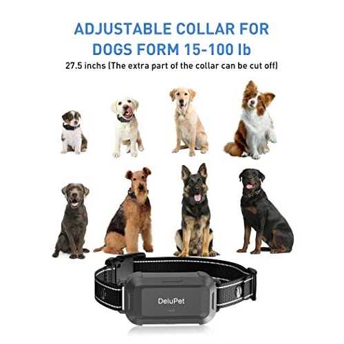 Dog Training Collar with Remote J497229
