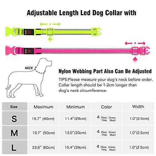 LED USB Rechargeable Dog Collar J379