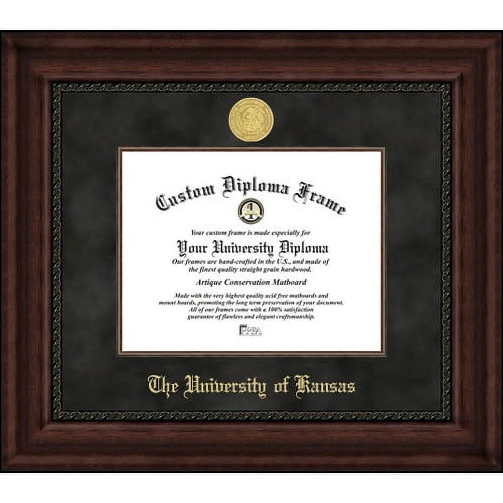 University of Illinois Executive Diploma Frame I564053