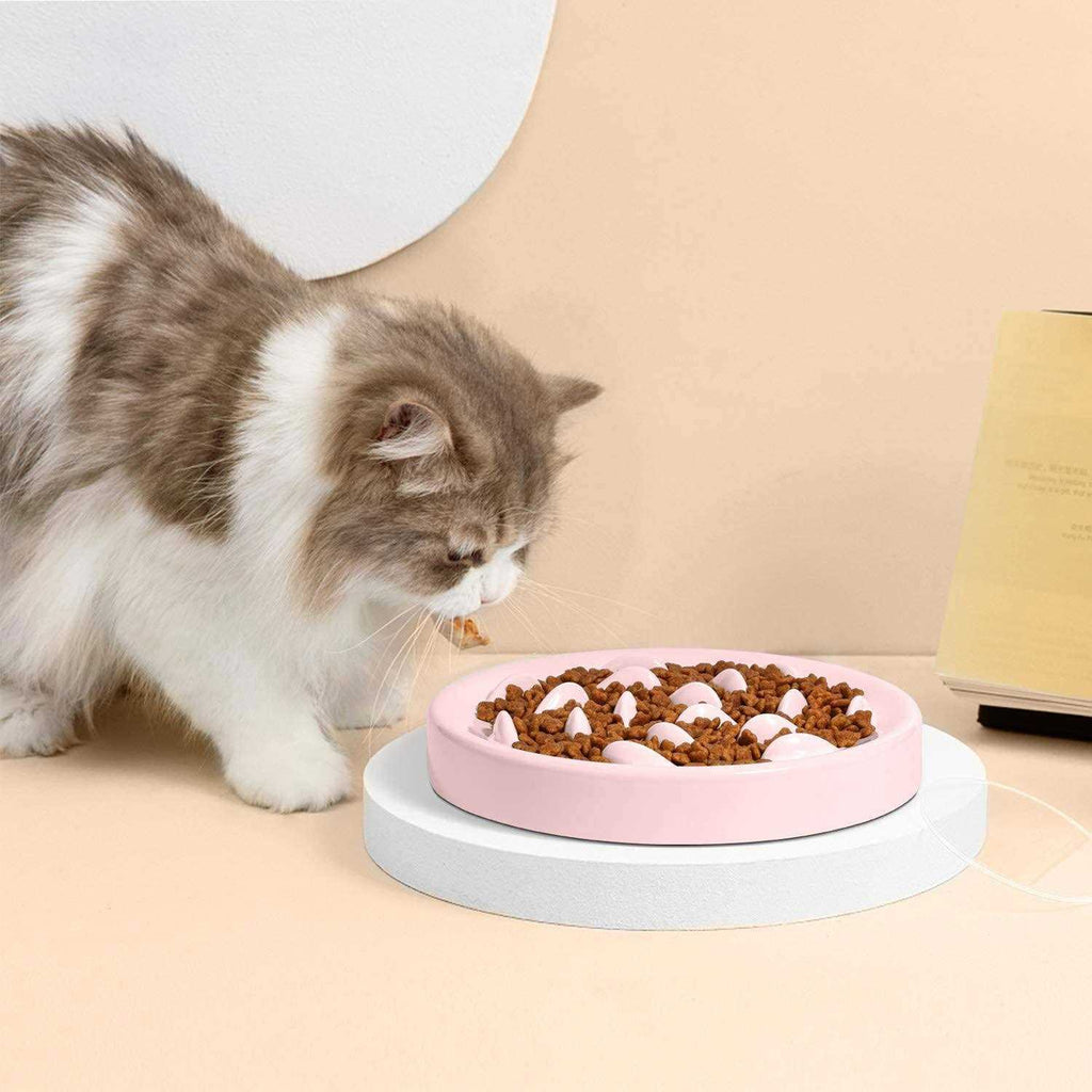 Slow Feeder Bowl for Cats and Small Dogs Z58523