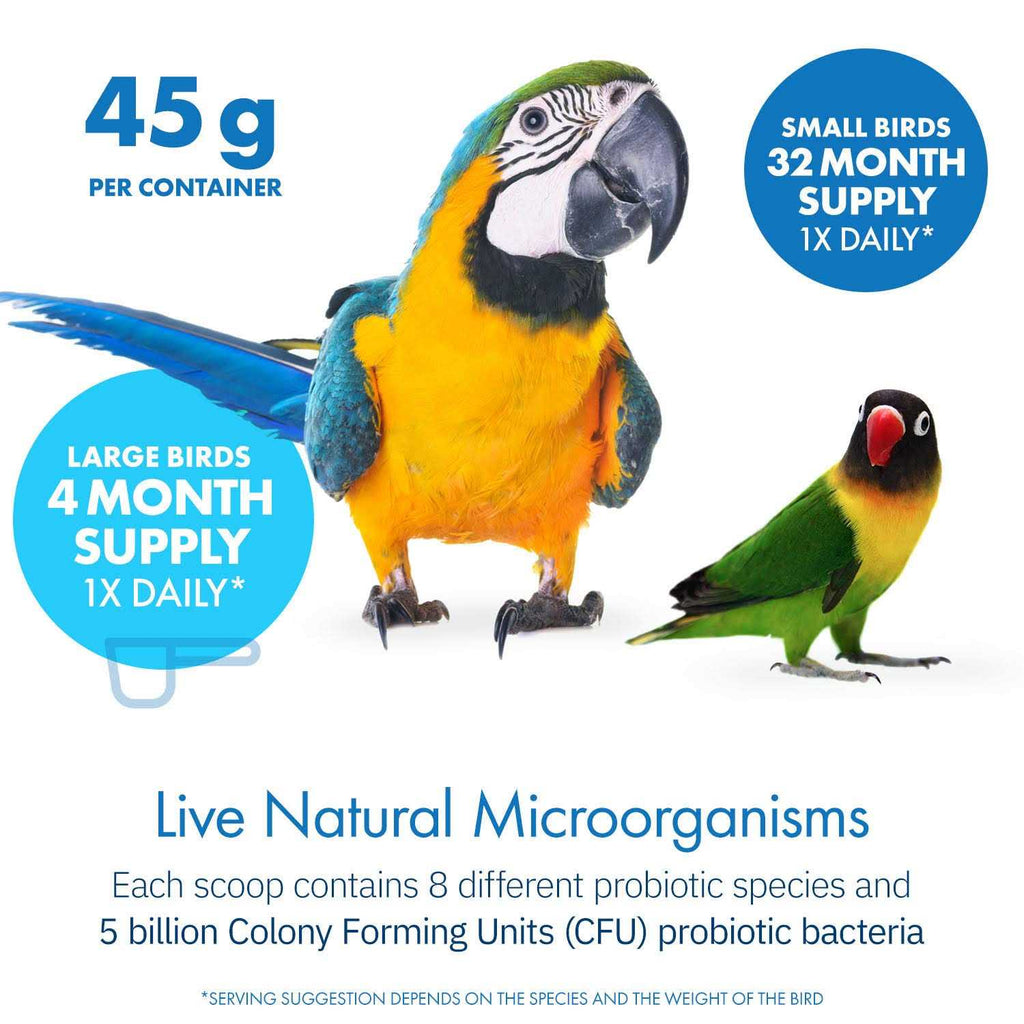Avian Probiotics Dietary Supplement B119