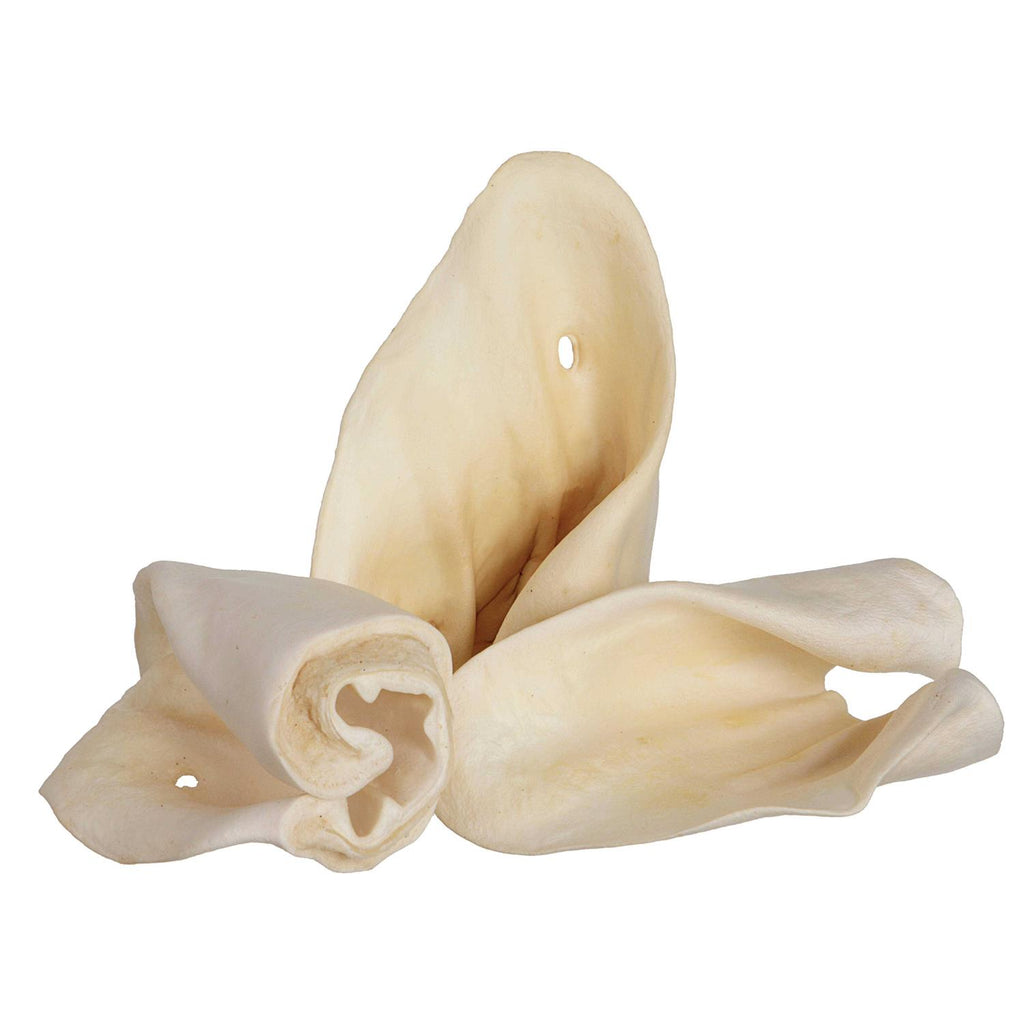 Cow Ears N92931