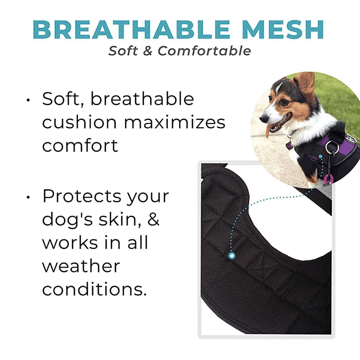 No Pull Easy On-Off Dog Harness Z9598