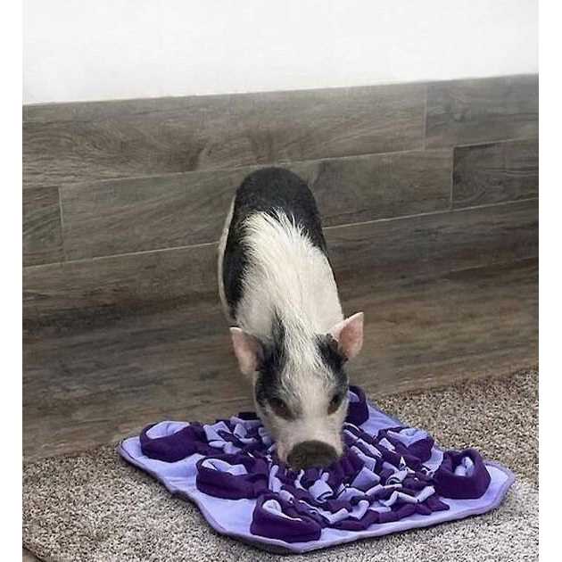 Snuffle Mat F315309