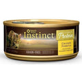 Grain Free Real Chicken Recipe Wet Cat Food A113566