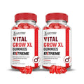 2000MG Performance Gummies with ACV Pomegranate Beet Juice Powder B12 Vegan Non GMO 120 Gummys C949249