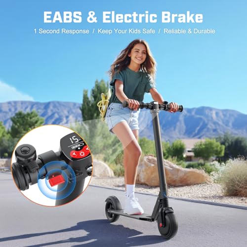 250W Motor 15 Mph Foldable Electric Scooter R94287