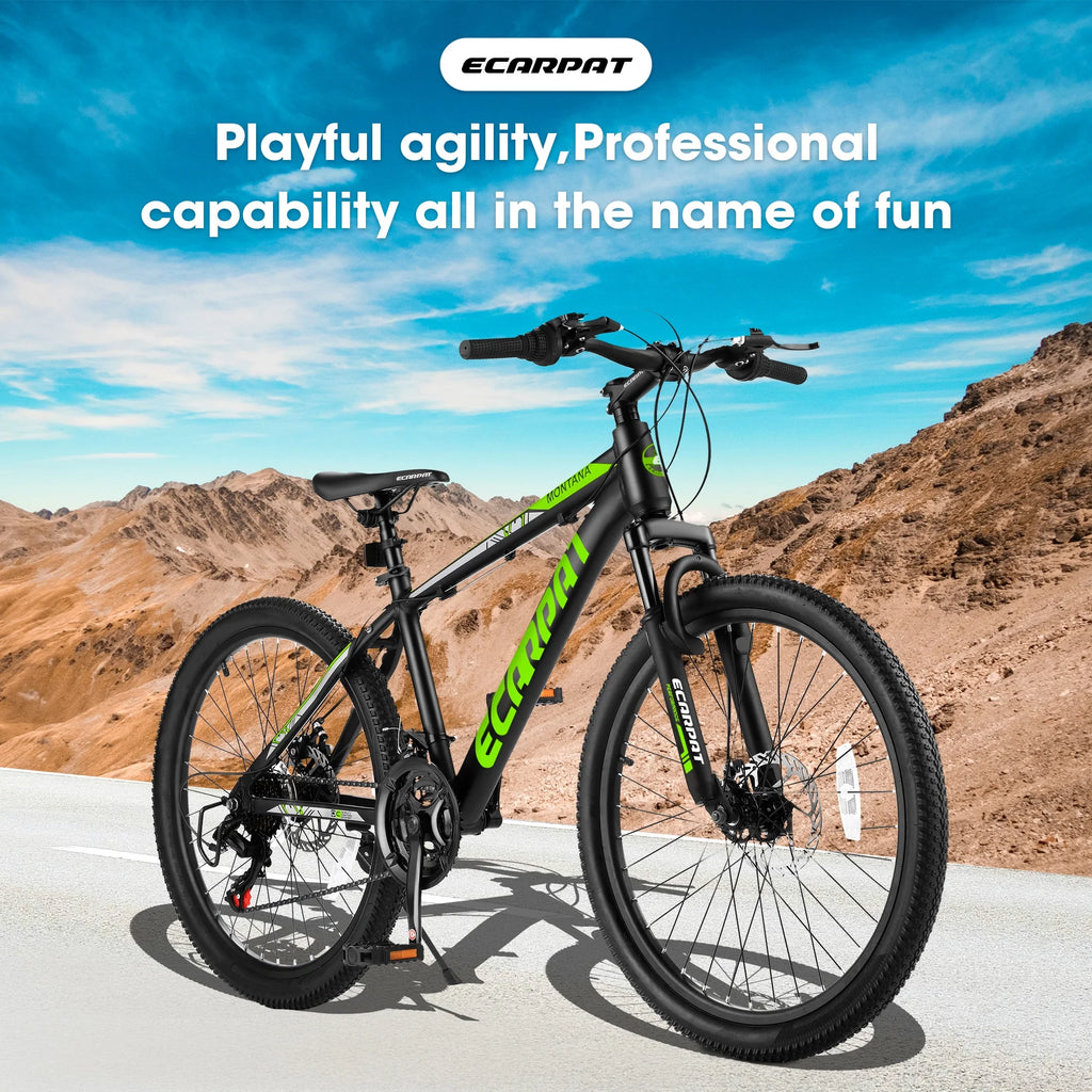 24 inch 21-Speed Aluminium Mountain Bike with Disc Brake H102