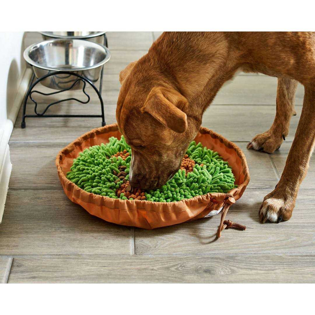 Snuffle Mat & Slow Feeder Dog Bowl S936541