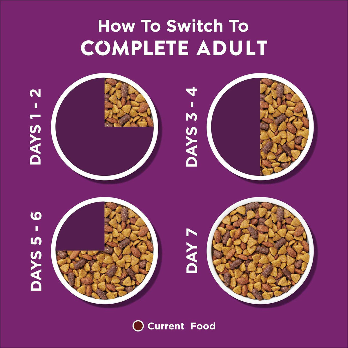 Complete Adult Dry Dog Food J769
