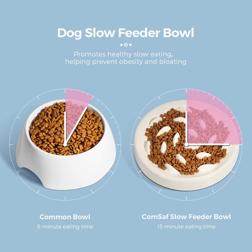 Slow Feeder Bowl for Cats and Small Dogs Z58523