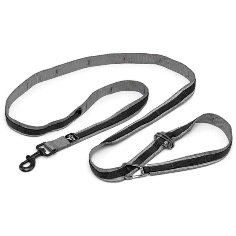 Dog Leash O434754