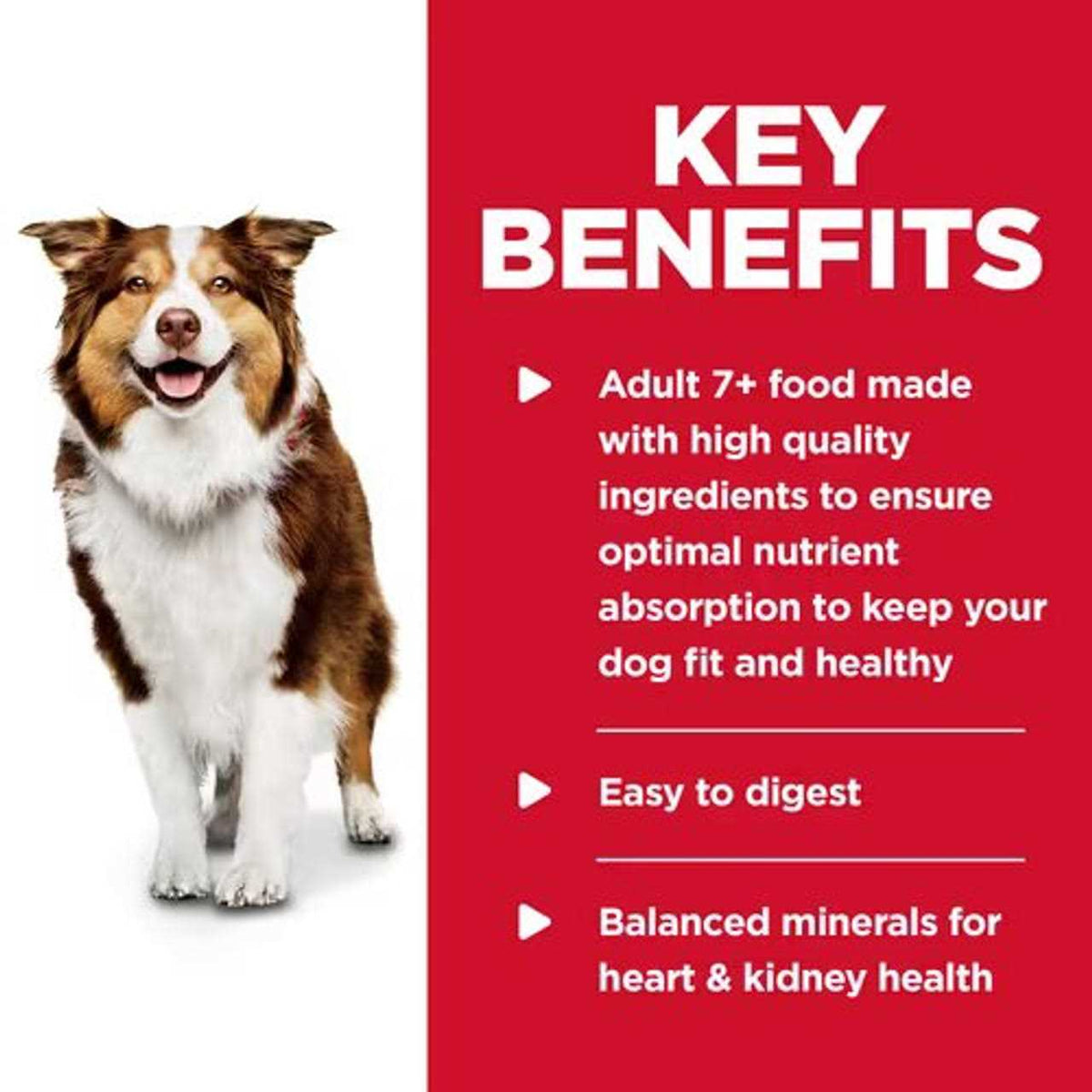 Adult 7+ Beef & Barley Dog Food V86906