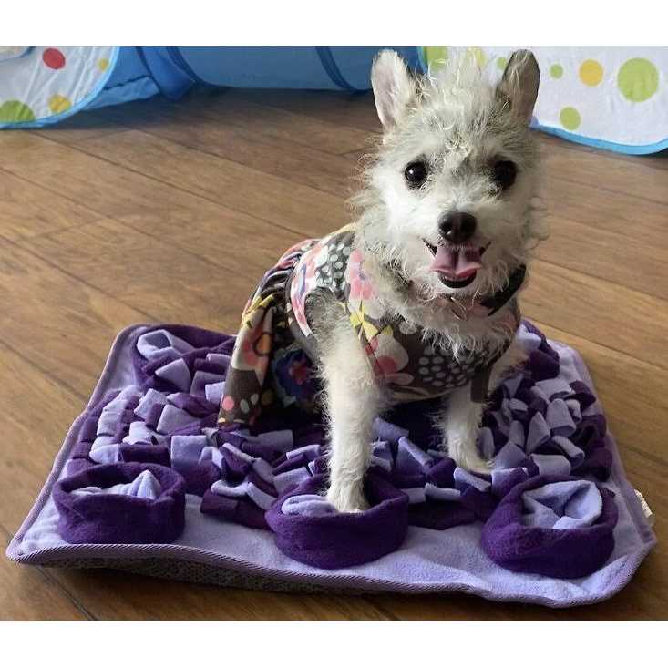 Snuffle Mat F315309