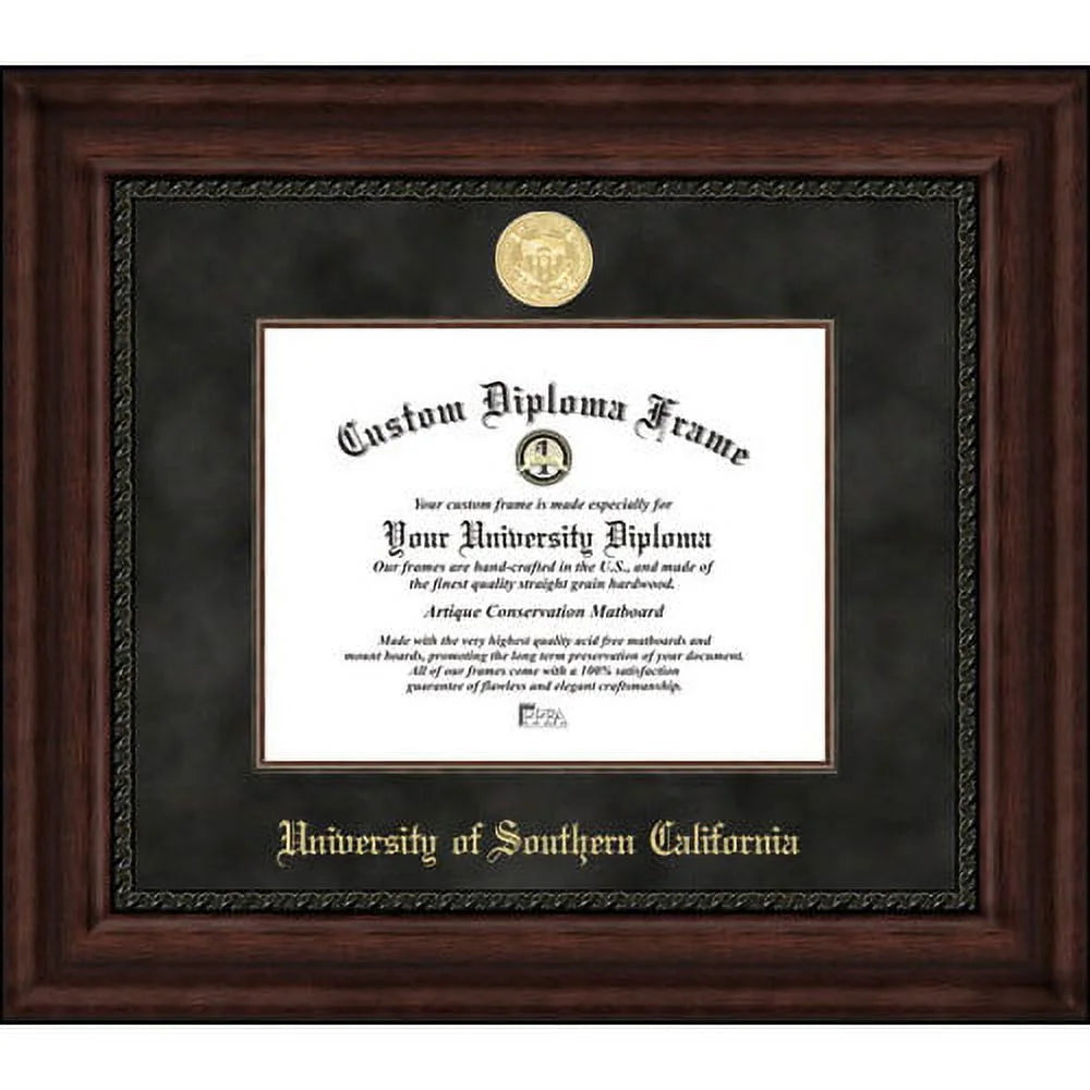 University of Illinois Executive Diploma Frame I564053
