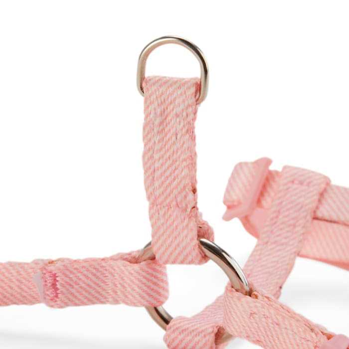 Kitten Harness & Leash Set D47194