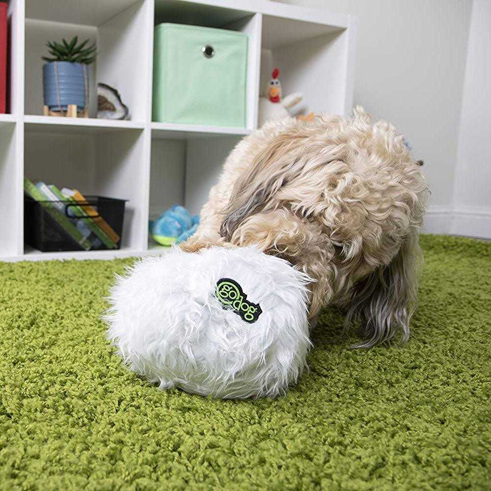 Dog Toy E242388