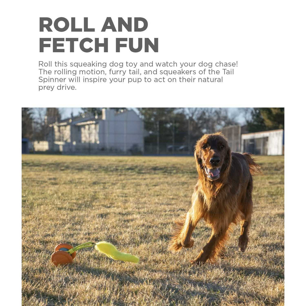 Squeaky Dog Toy E46961