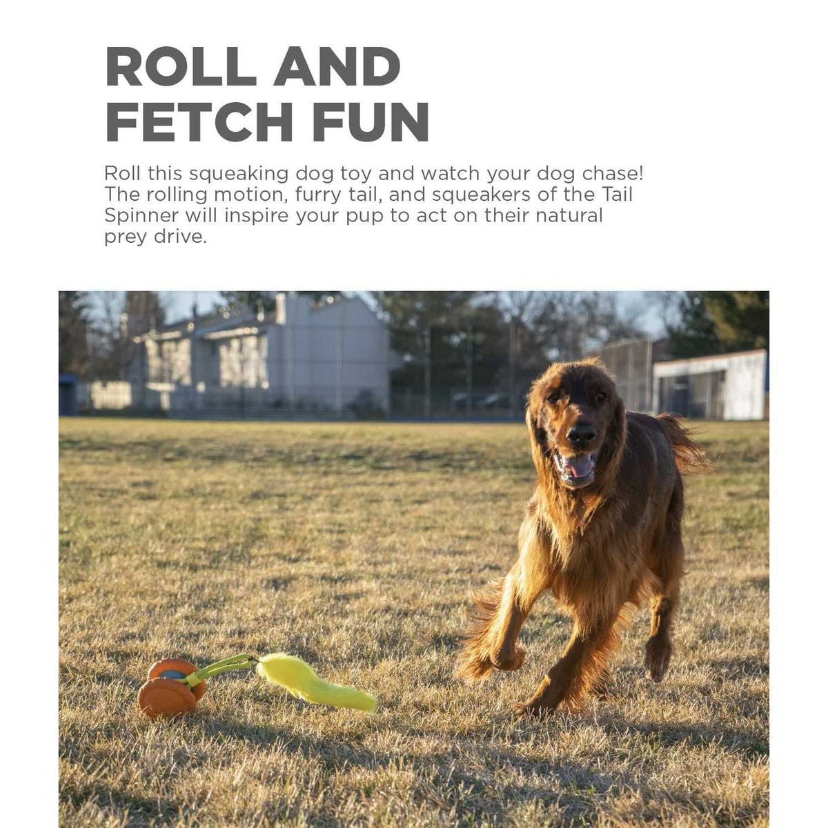 Squeaky Dog Toy E46961