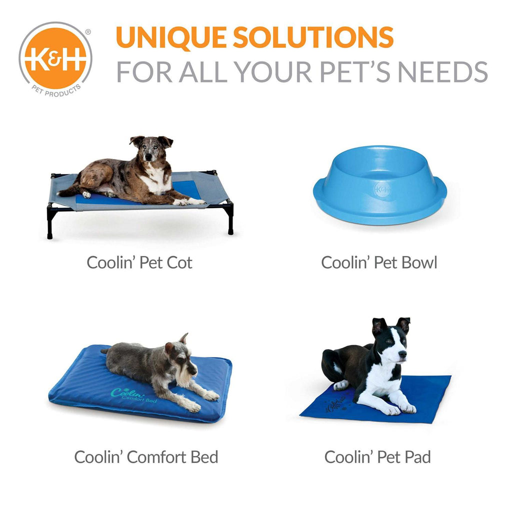Pet Pool F576108