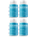 Blood Sugar Support 4 Bottles P577695