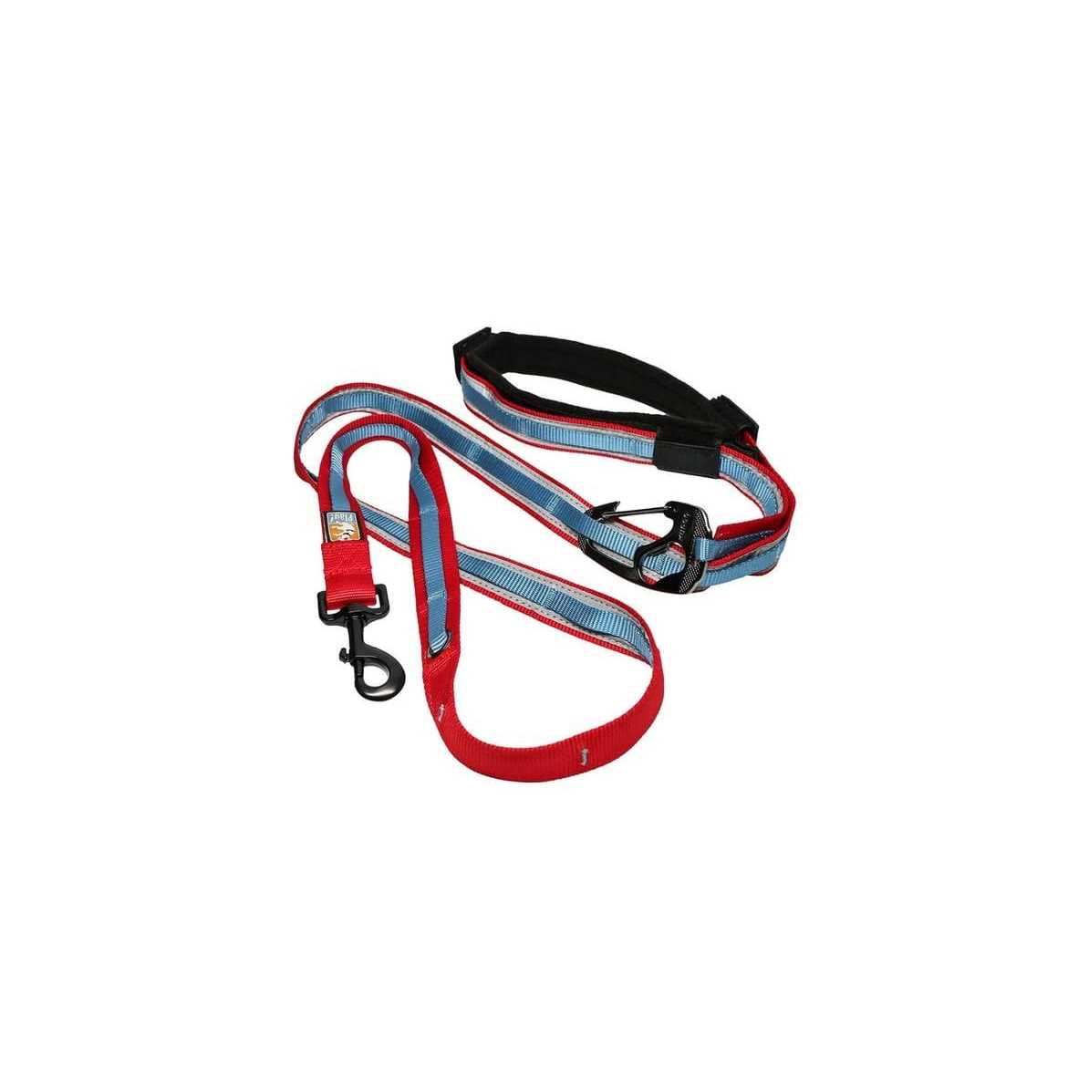 Dog Leash O434754