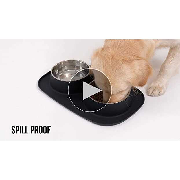 Waterproof BPA Free Cat and Dog Bowls Silicone Feeding Mat Set P82340