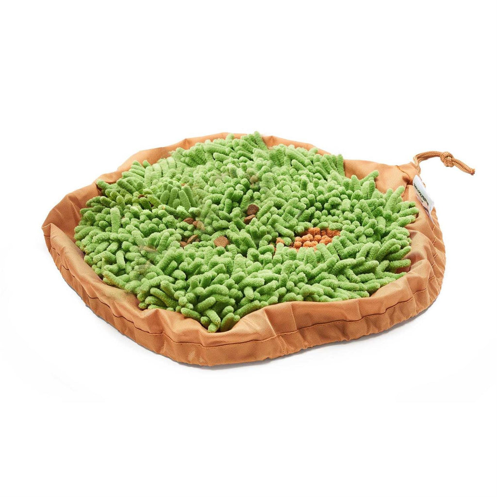 Snuffle Mat & Slow Feeder Dog Bowl S936541