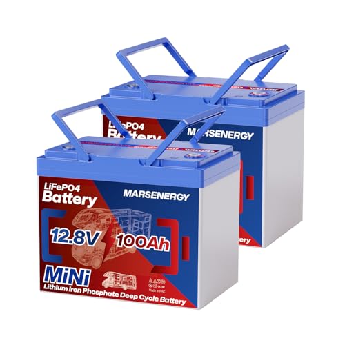 12V 100Ah Lifepo4 Battery, Bci Group 24, Built-in 100A Smart BMS Q21297