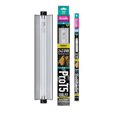 Reptile Kit I99301