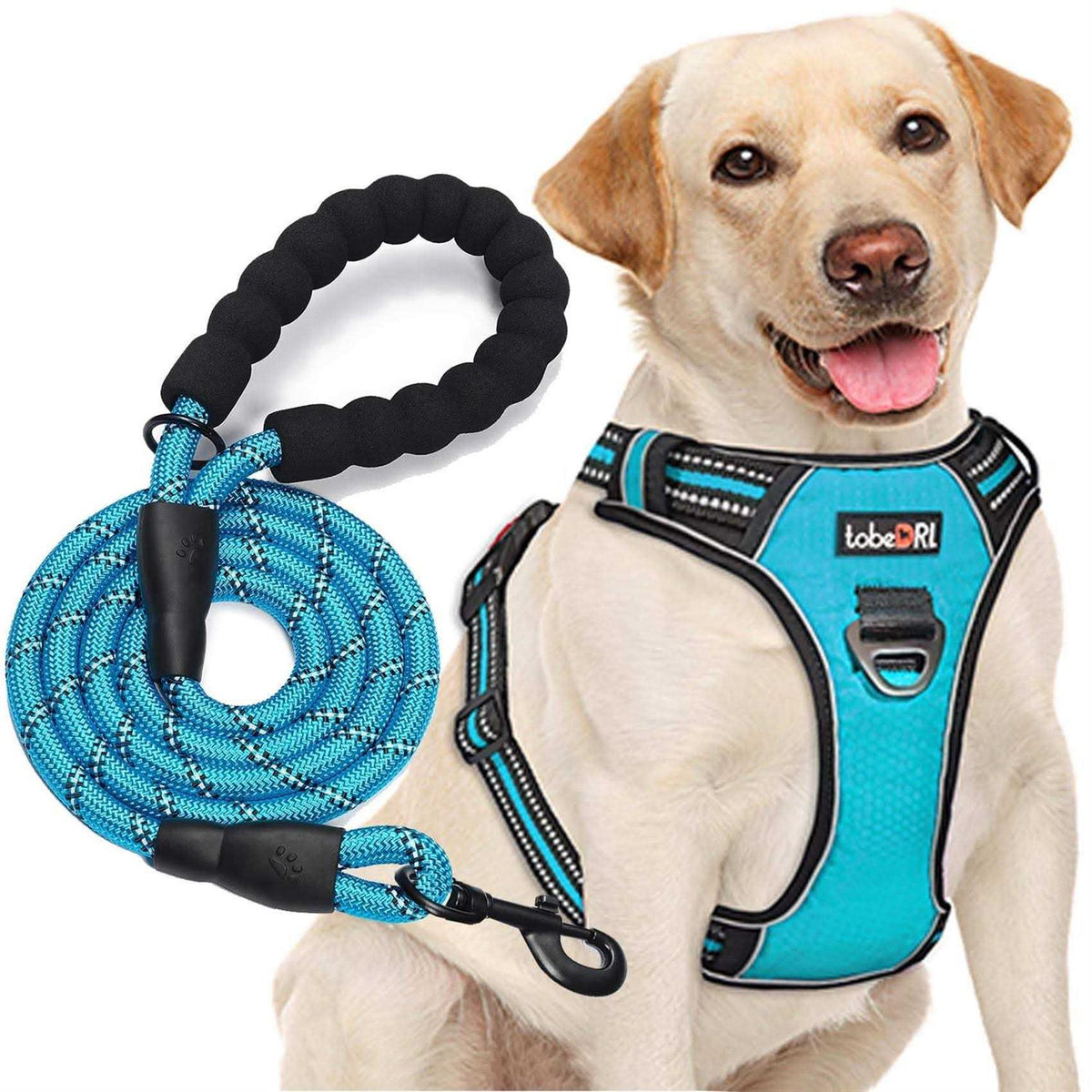 Adjustable Reflective Oxford Dog Harness with 5ft Dog Leash F146424