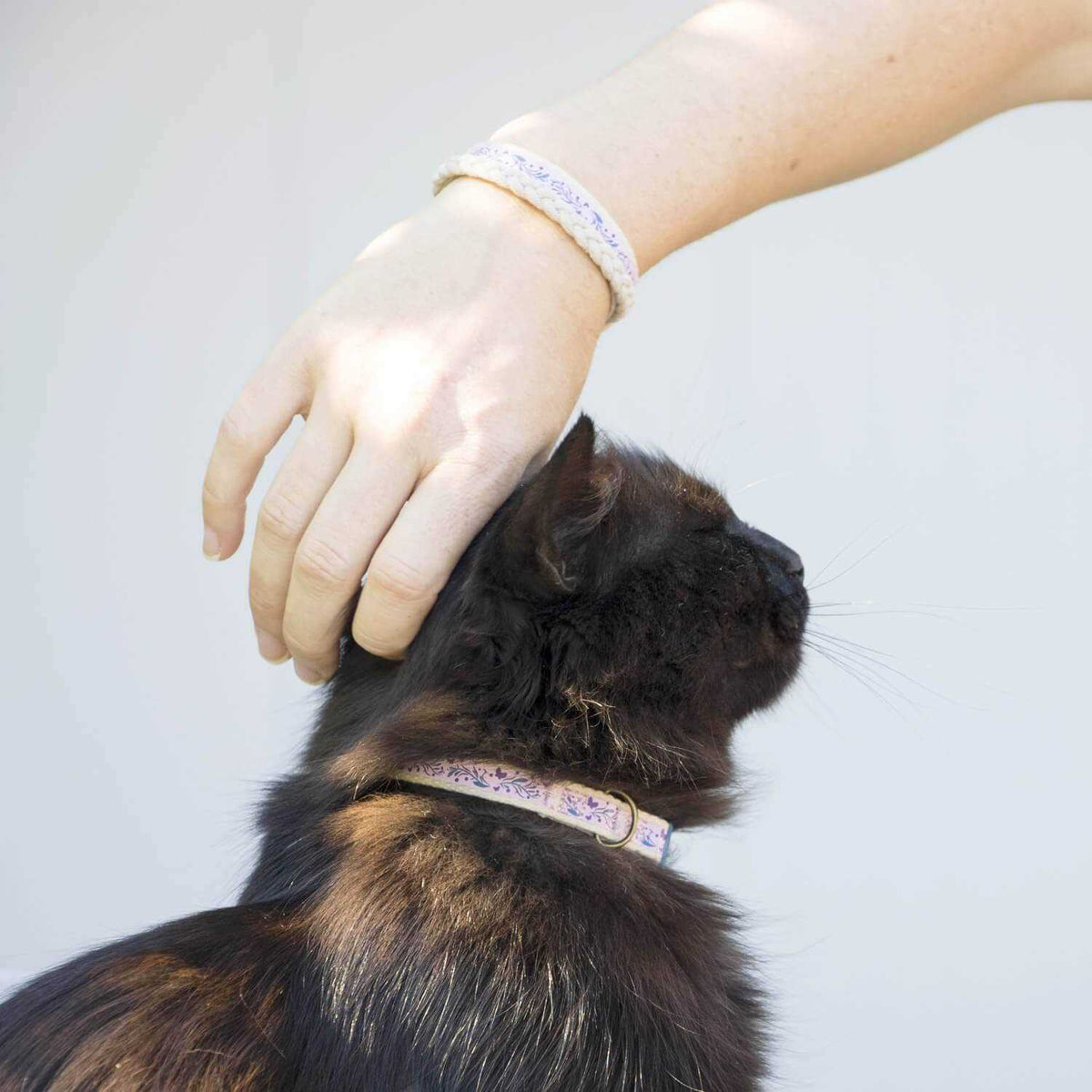 Cat Collar Breakaway S8543