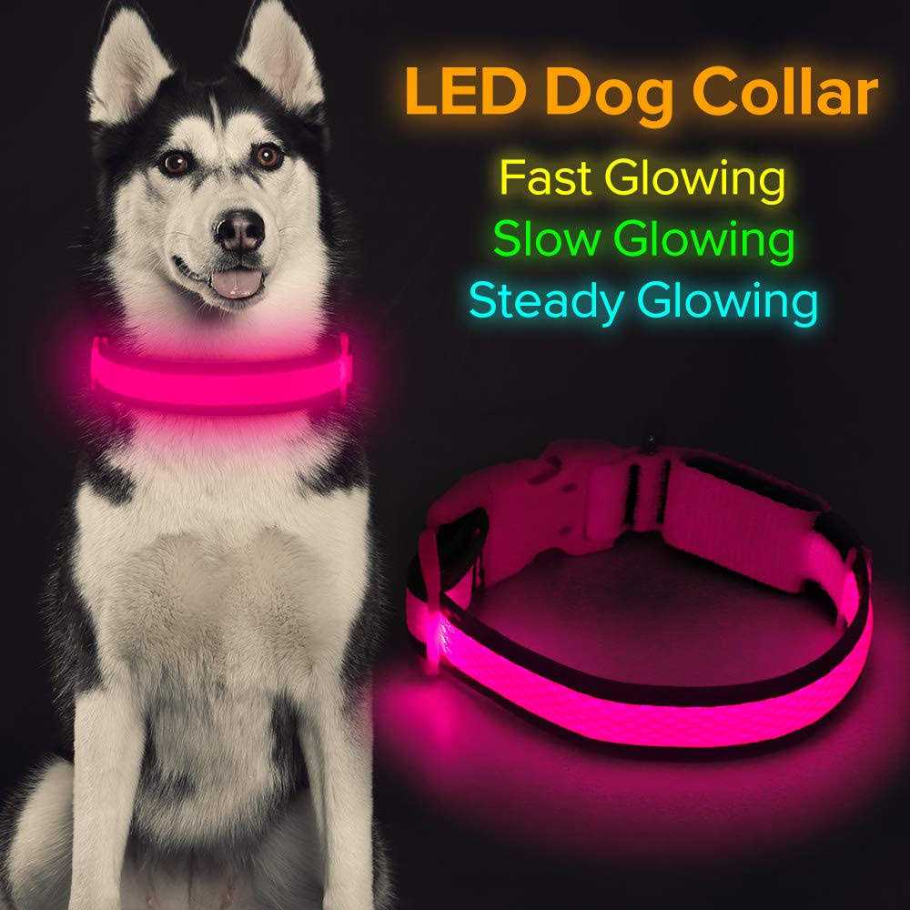 LED USB Rechargeable Dog Collar J379