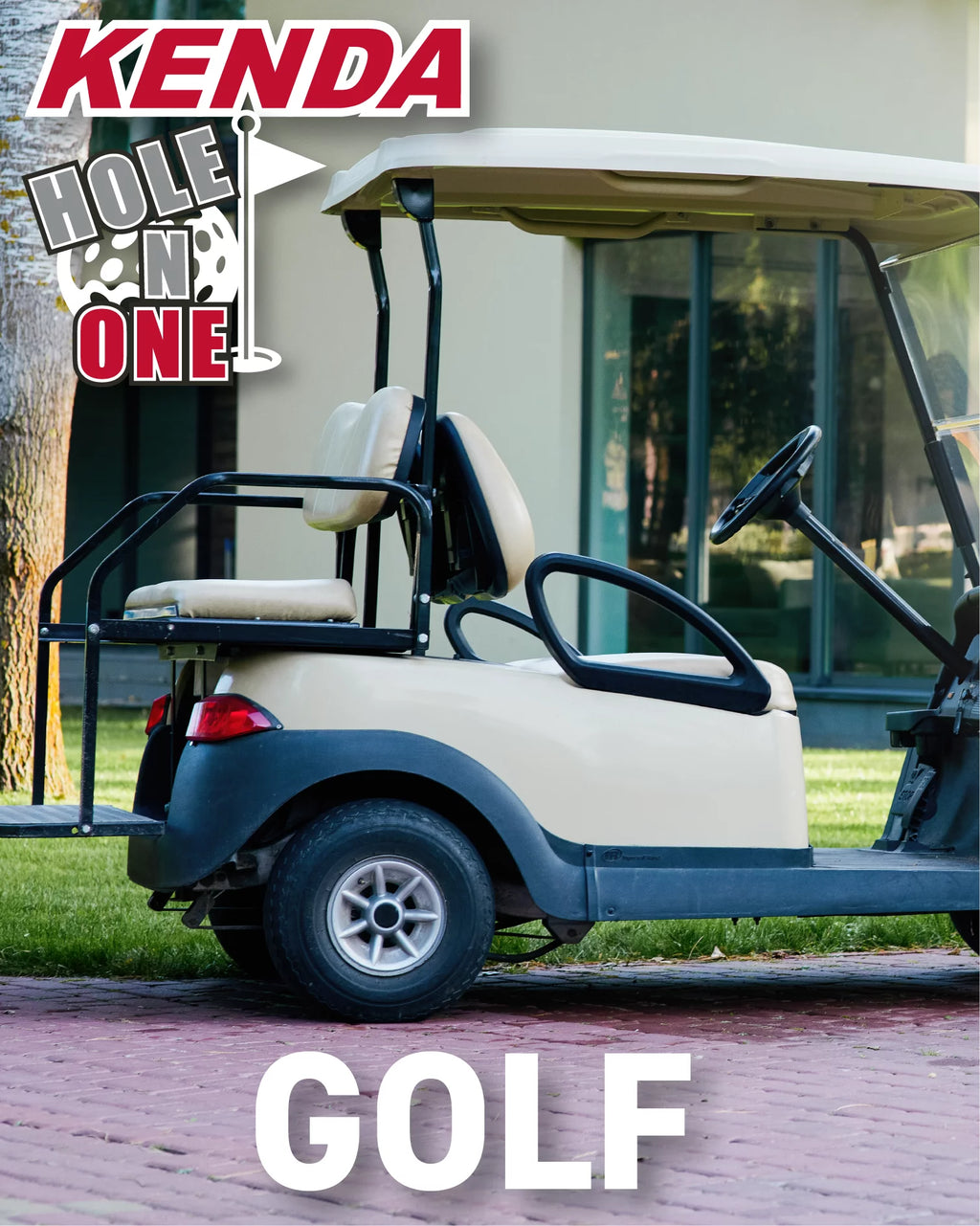 20x9-12 6 Ply Tubeless Golf Cart Turf Tires 2 Pack T838