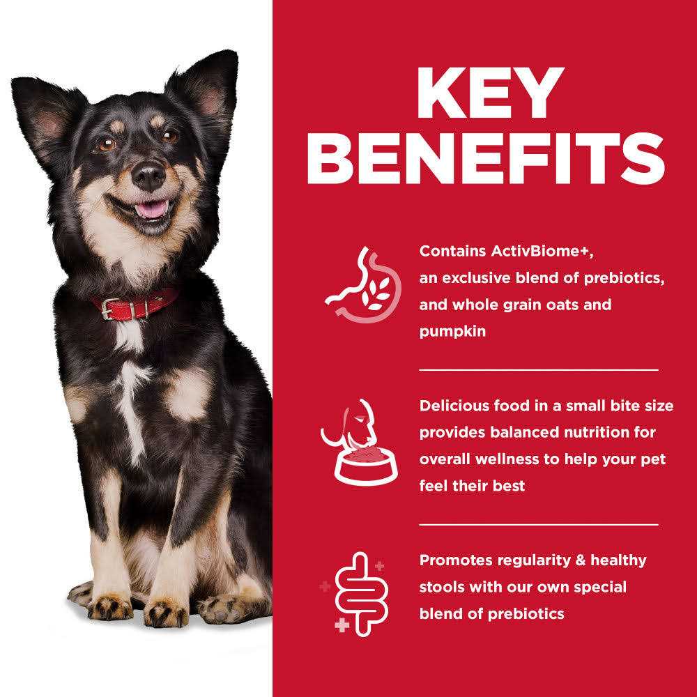 Chicken Dry Dog Food T1281