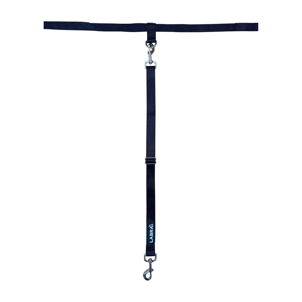 Dog Truck Bed Leash Tether A4437