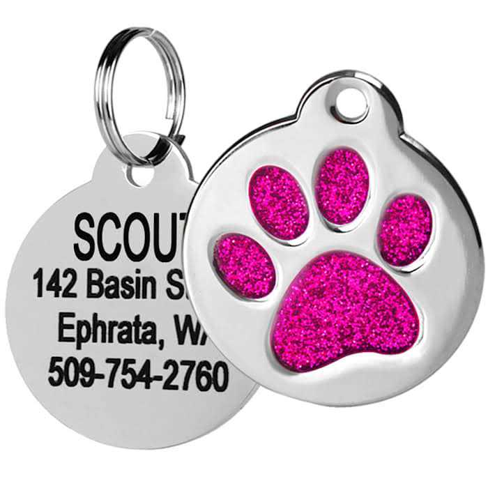 Stainless Steel Personalized Dog & Cat ID Tag F420