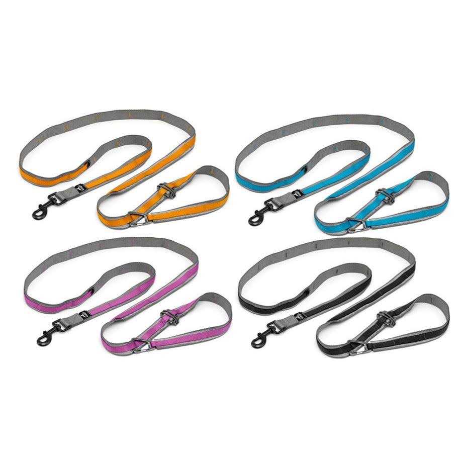 Dog Leash O434754