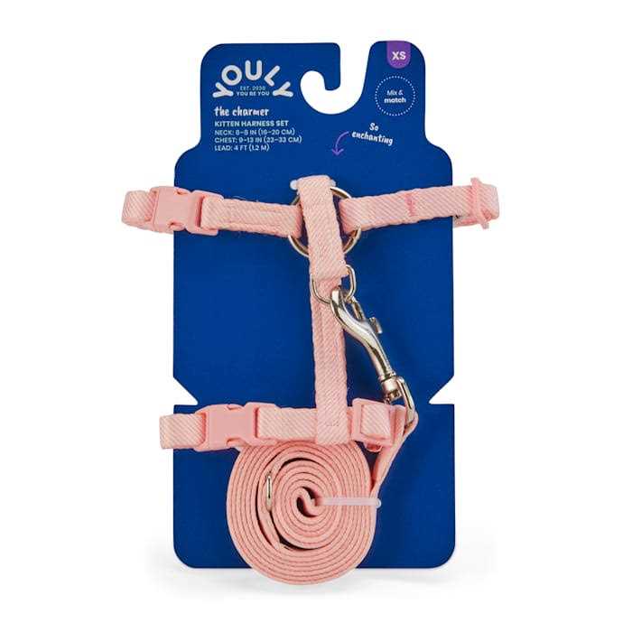 Kitten Harness & Leash Set D47194