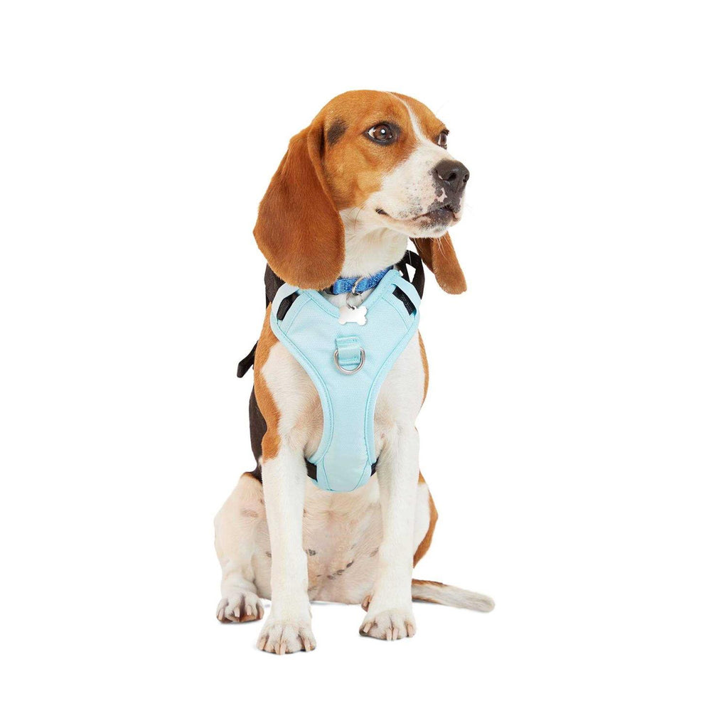 Teal Dog Harness V766869