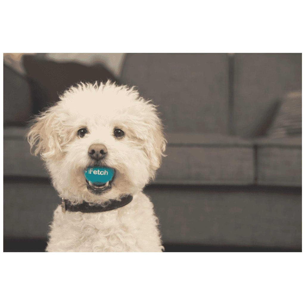 Interactive Dog Ball Launcher F8565