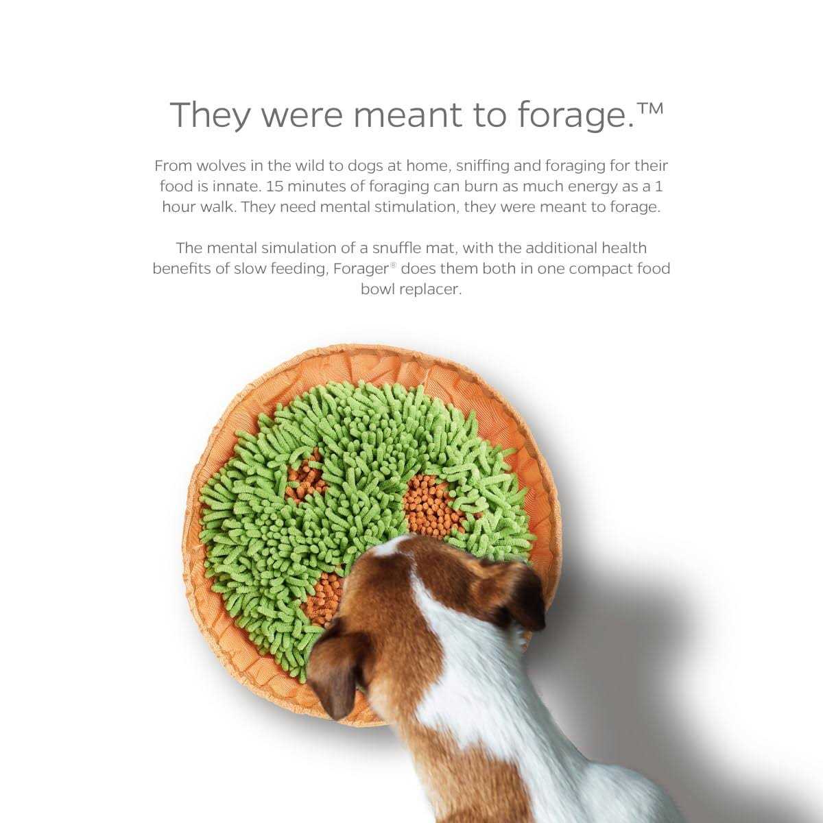 Snuffle Mat & Slow Feeder Dog Bowl S936541